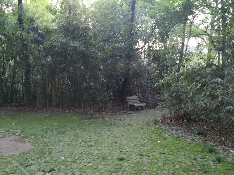 林逋隐居西湖孤山,林逋隐居杭州孤山阅读答案