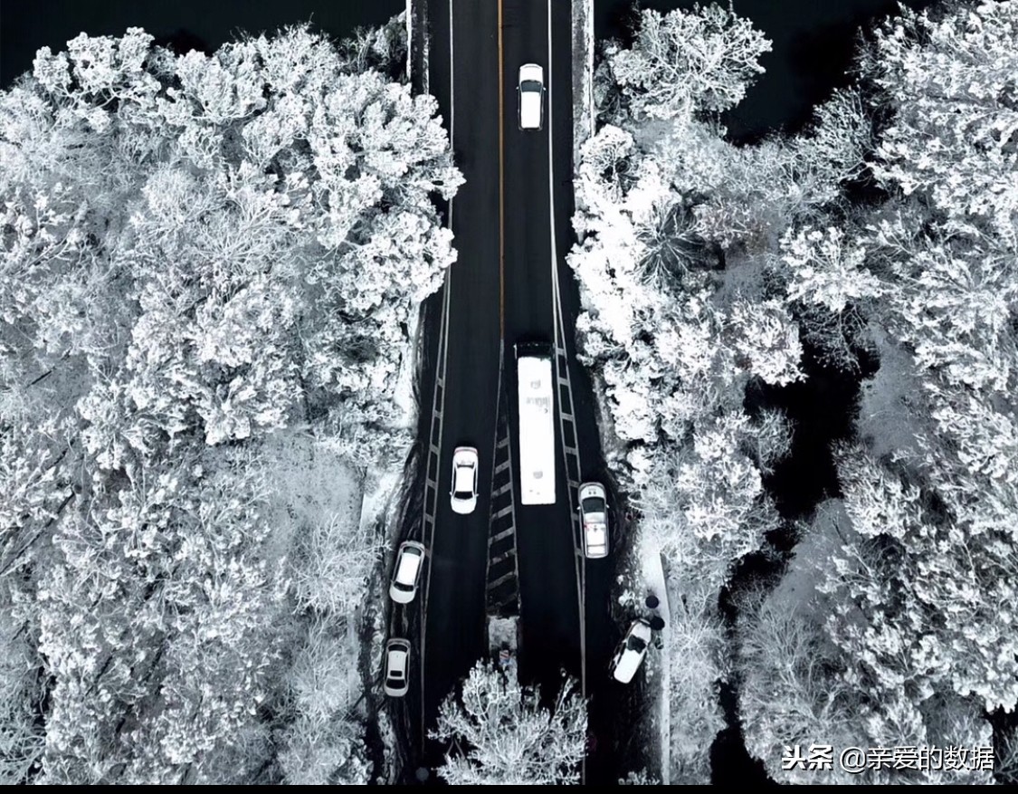 疑似途歌公司就剩几盆花,首汽GoFun却很好,共享汽车走到尽头?