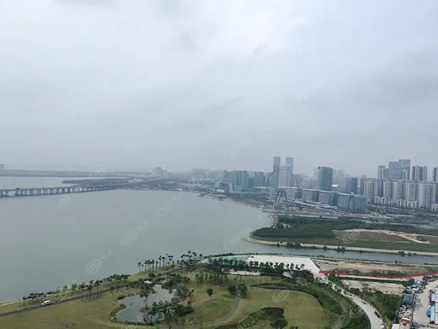 猛虎pk,猛虎和雄狮的pk