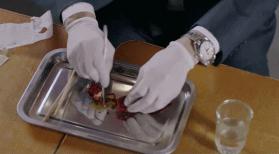 别拿鸡爪不当美食