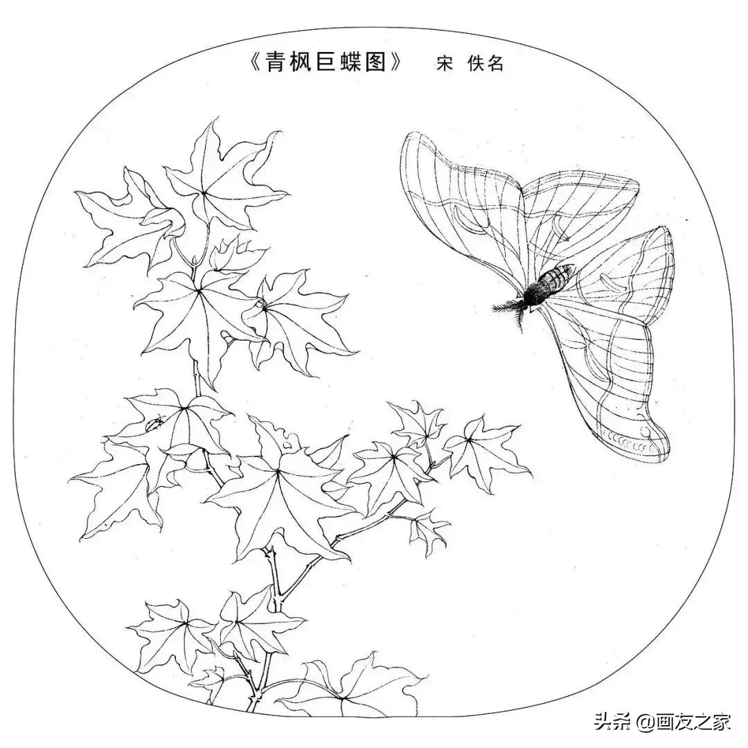 宋花鸟工笔画高清大图临摹过程,宋画工笔画花卉上色教程