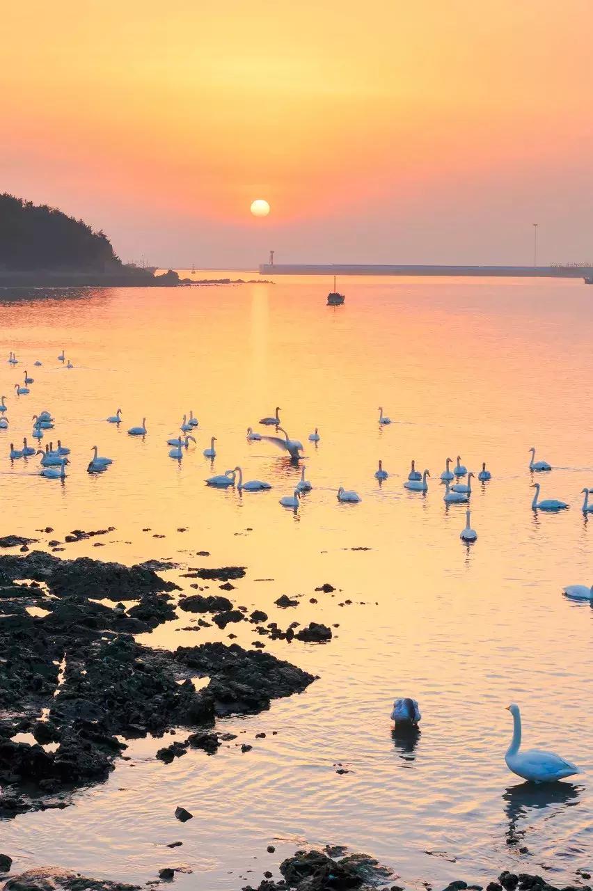 这才是一二月最值得去的13个旅行地，千万别去错了