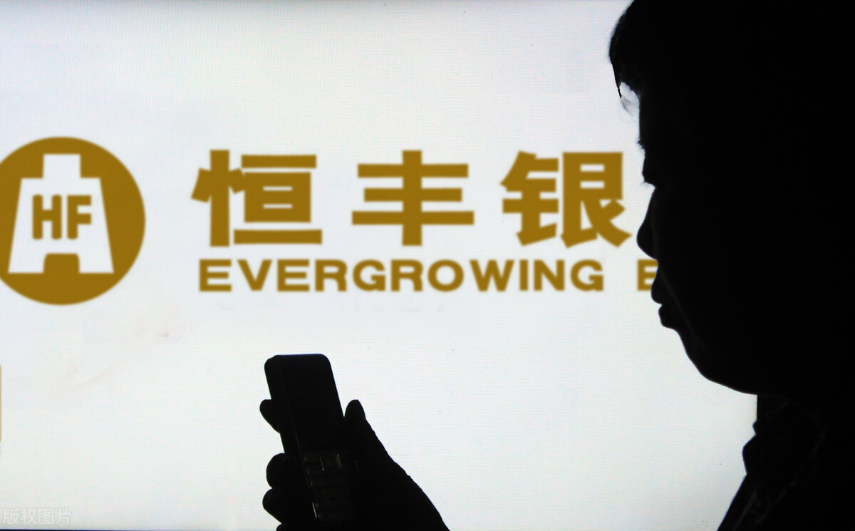 恒丰银行董事长蔡国华案,恒丰银行前董事长案