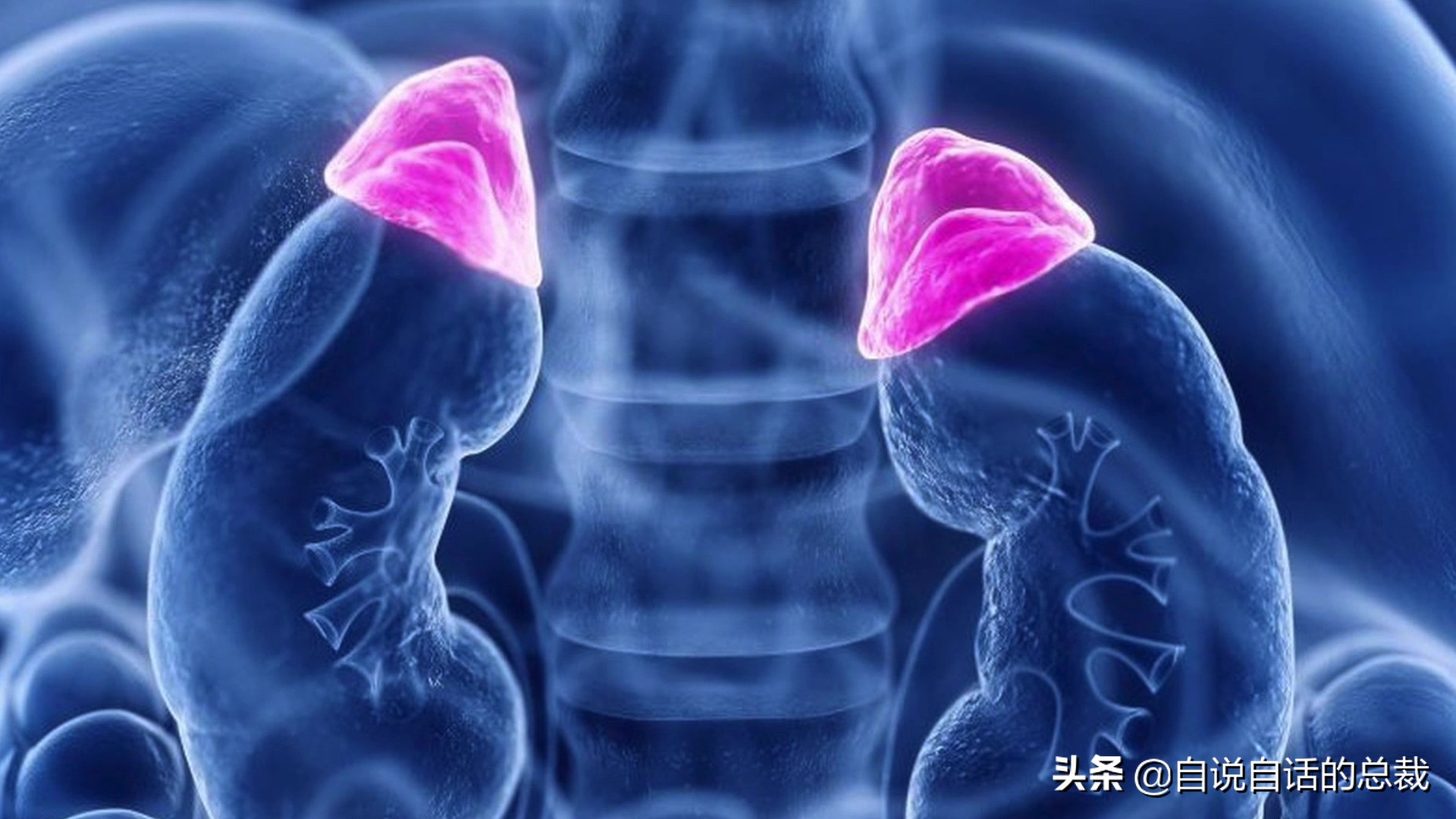 全世界的柠檬都读Lemon?这背后有一个刻在8号染色体上的上古故事