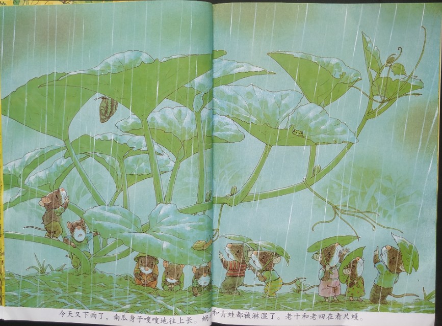 十四只老鼠绘本完整版,14只老鼠好书推荐