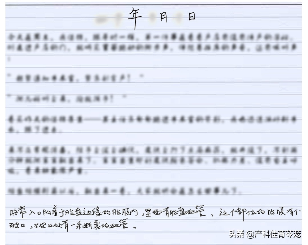 前置血管容易断裂吗,前置血管破裂对母体有什么伤害