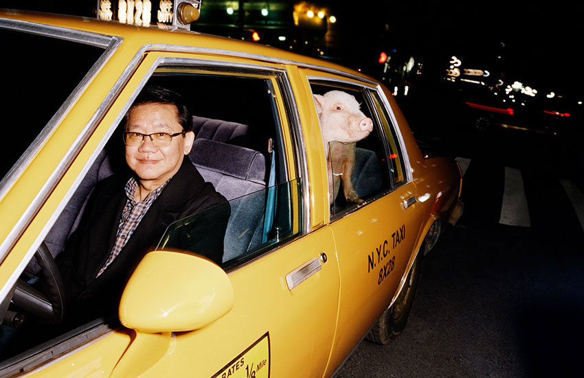 gucci飞猪西装,gucci小猪卫衣