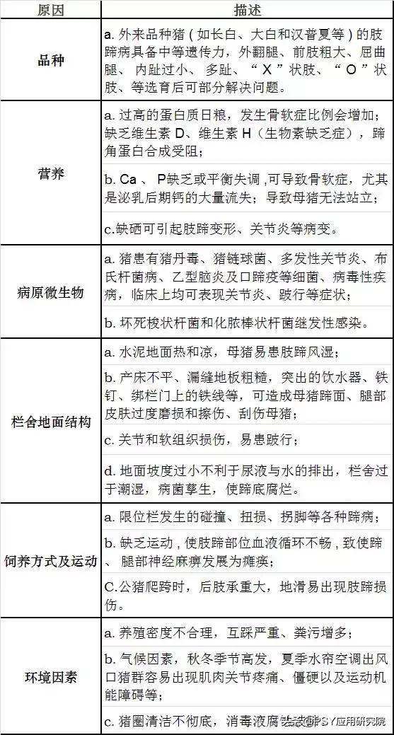 猪肢蹄病有哪些症状,母猪肢蹄病如何防治