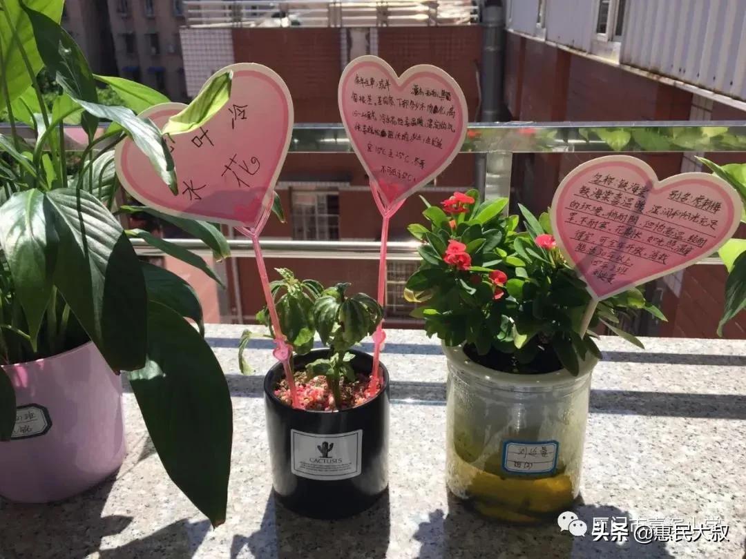 厦门思明区幼升小录取时间表,厦门市思明区嘉滨小学派位