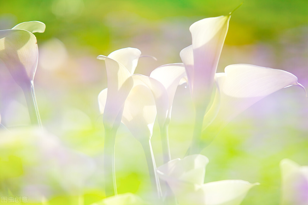 不可得而亲不可得而疏,故不可得而亲亦不可得而疏