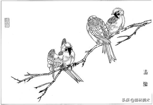 现代国画工笔花鸟白描及完整版,路雨年工笔白描花鸟团扇高清图片