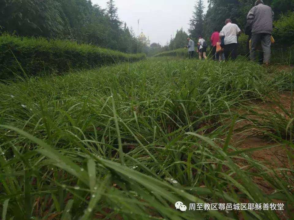 户县圣母山景区,户县中华圣母山介绍
