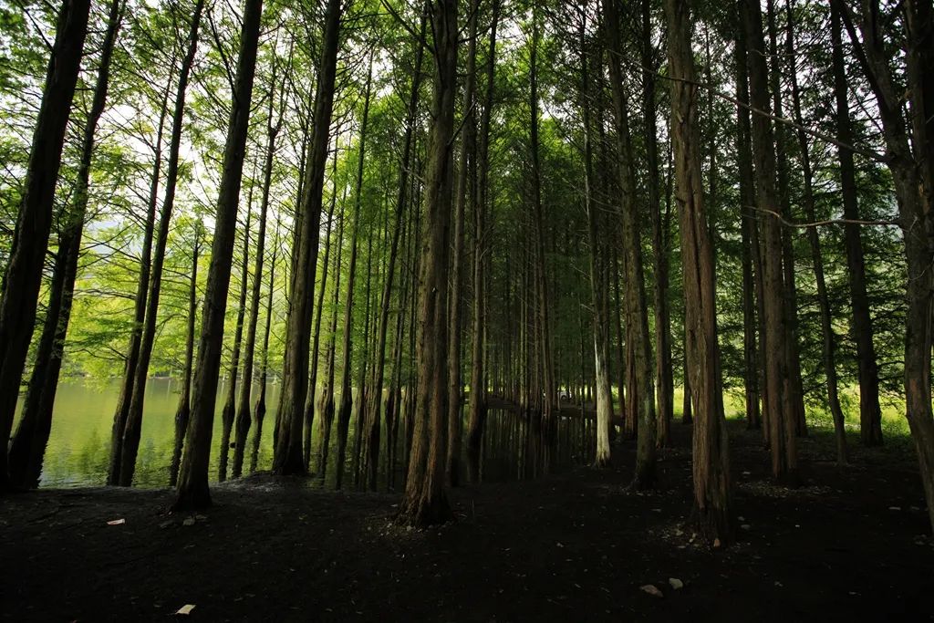 汉中龙池湖攻略,汉中龙池湖简介