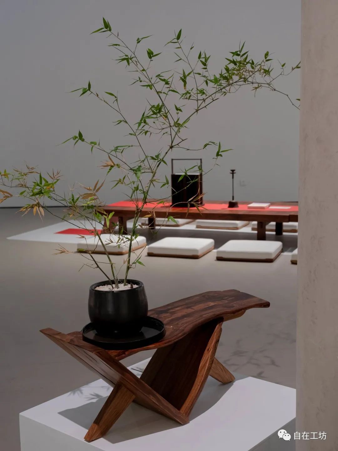 今日星推|随形赋意，自然而然-自在工坊