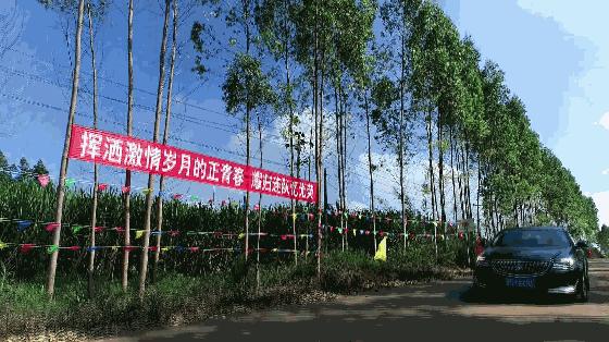 知青下乡49周年纪念活动,纪念知青下乡50周年图片图文