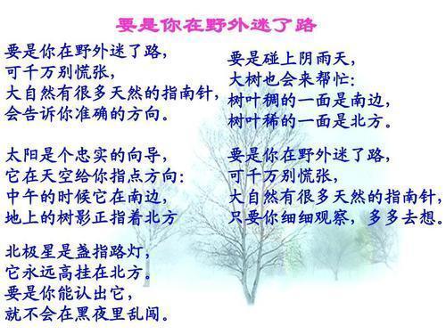 语文二下17课要是你在野外迷了路,二年级课文17要是你在野外迷了路