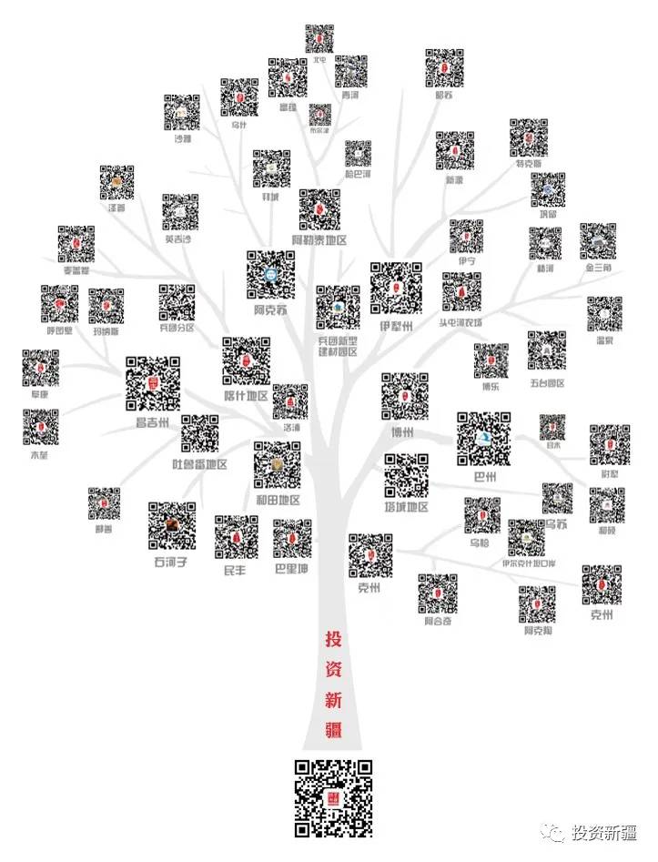 新疆全平台营销项目,一个招商引资平台