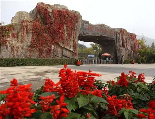 国庆肥西十大网红打卡地,合肥春游打卡攻略