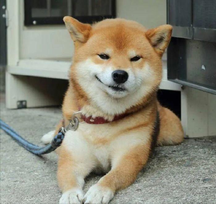 “菊花”不适，不一定都是“痔疮”的锅