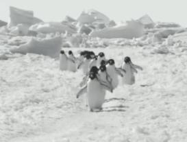 夏天就该看这部电影啊！！！