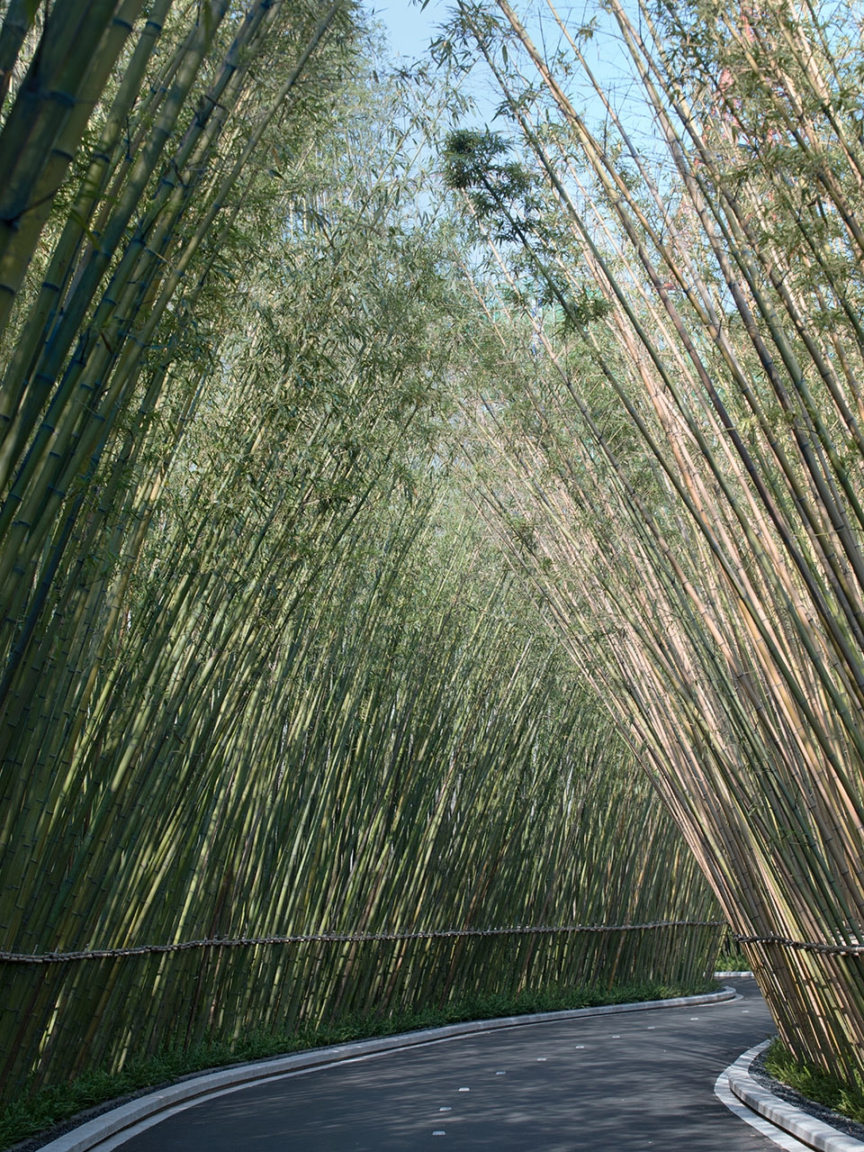 万科17英里什么价格,万科17英里海滨栈道