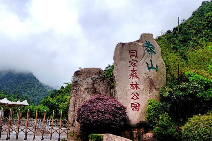 1996年莽山烙铁头蛇,莽山烙铁头被盗事件