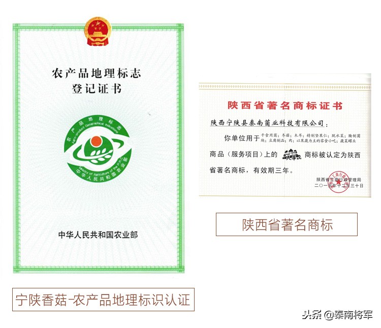 麻辣烫新鲜黑木耳怎么保存,火锅里面有黑木耳过夜还能吃吗