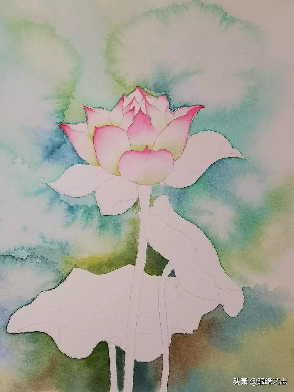 水彩莲花画法教程,白色荷花水彩画法教程
