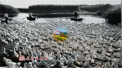 湘潭老照片,老城记忆老照片里的湖南湘潭