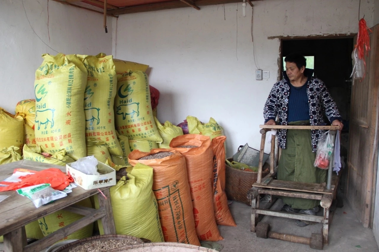 点赞!高位瘫痪的汪永明不等靠要独自经营几十亩果园艰难度日