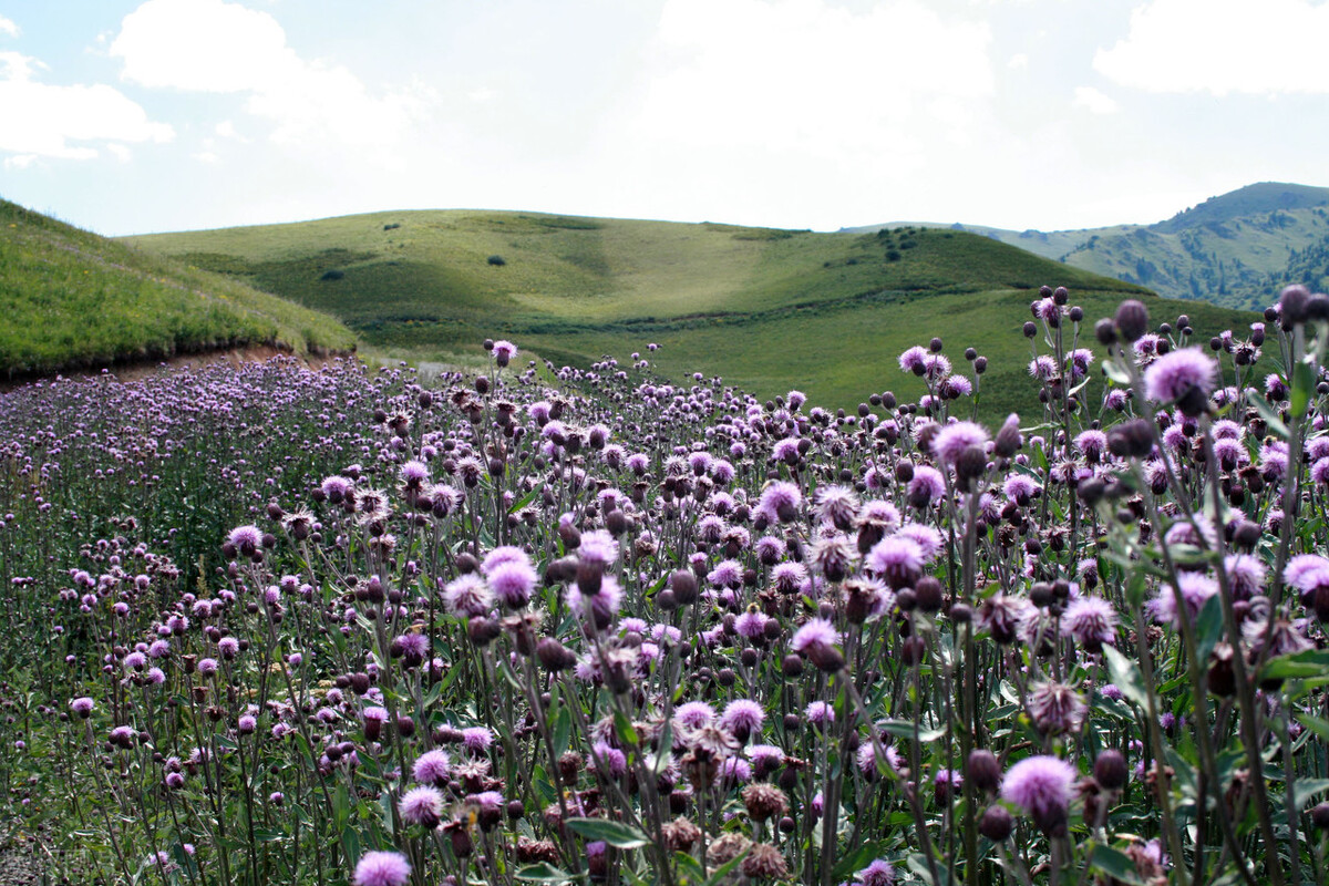 98年收回3万公顷领土,如今成我国最后一片净土,至今不许外人进