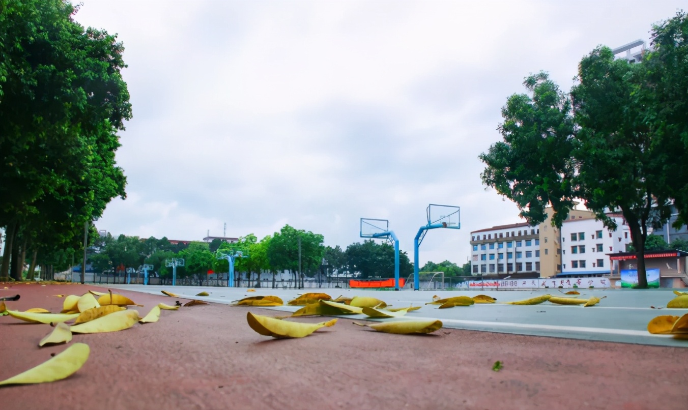 怀念母校实验中学,新兴县实验中学