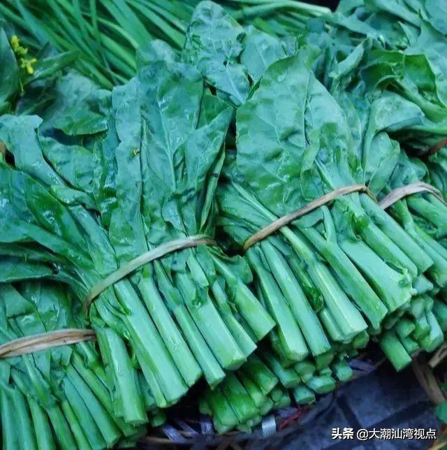 潮汕紫色芥蓝,为什么广东人喜欢吃芥蓝