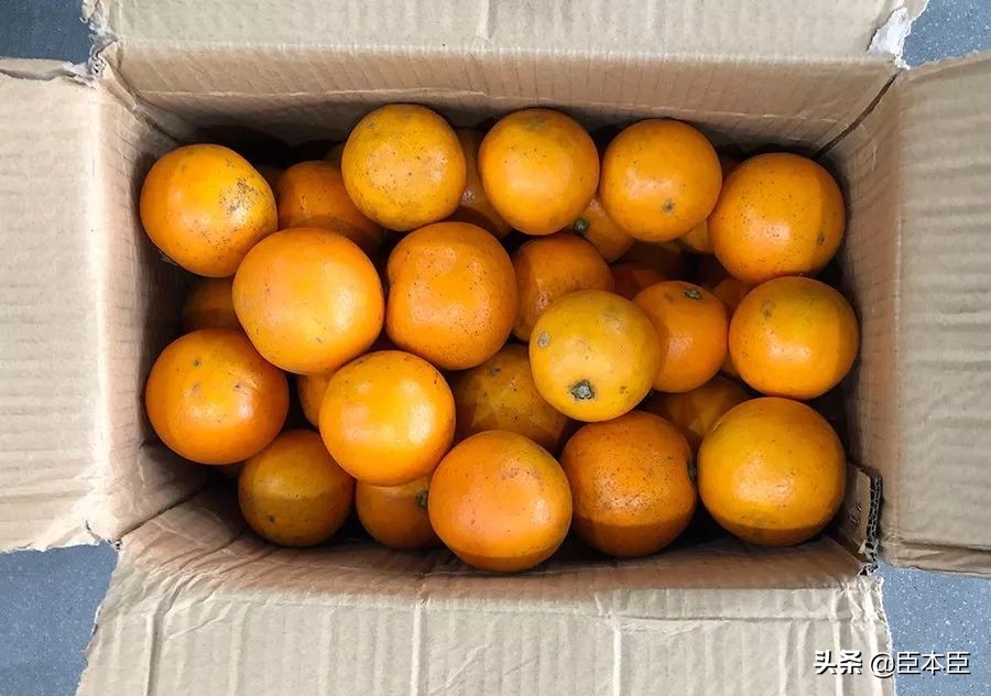 酸甜口的橙子适合怎么吃,鲜橙子怎么挑汁多的