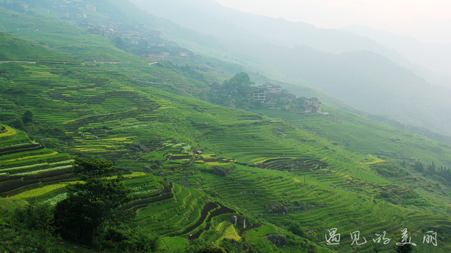 龙脊梯田风景区被破坏过吗,桂林龙脊梯田最全攻略