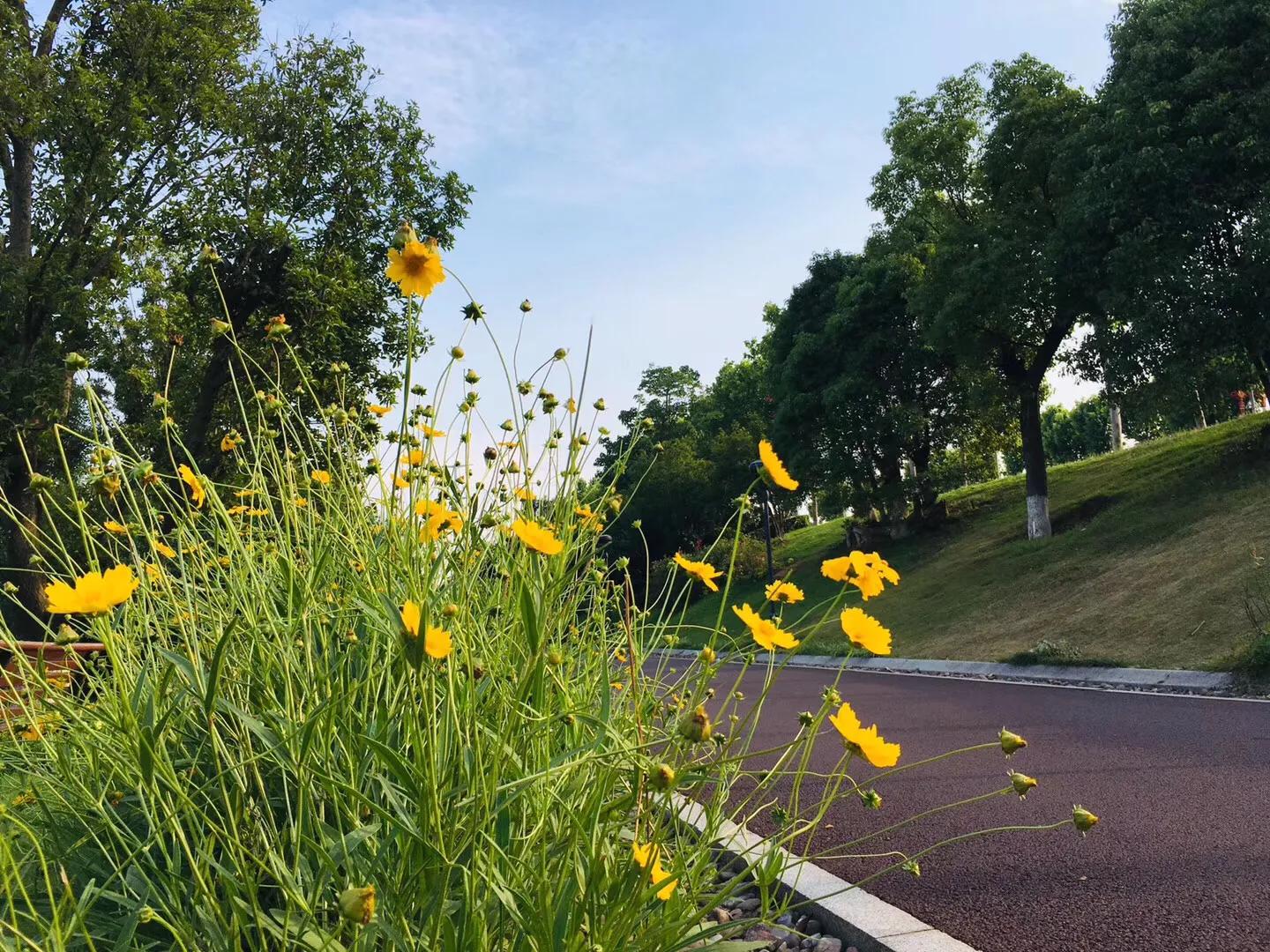 不爱学习的学生怎么引导,为什么差生不爱学习