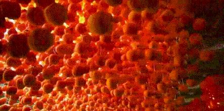 霜降柿子树七绝,咏千年老柿子树的七绝