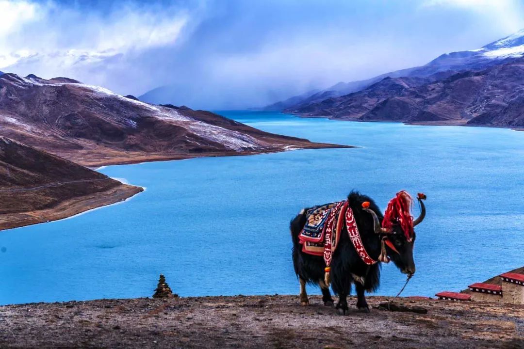 冬日的西藏才是人世间最美的天堂,西藏朝圣路上的美景
