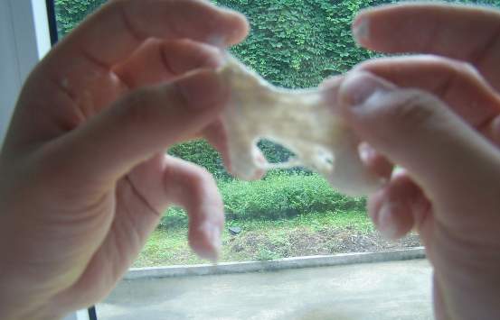 安琪油条膨松剂的使用方法,无矾油条制作及配方全部过程