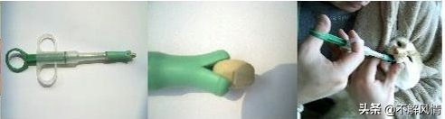 宠物猫宠物狗寄生虫都有哪些？需要如何驱除？