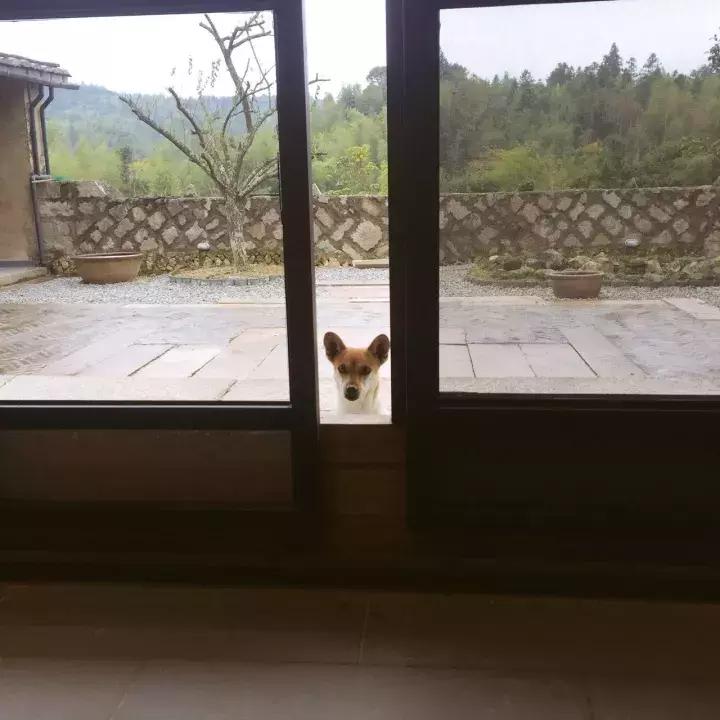 从设计师到漆艺家,他以慢对抗这世界的浮躁