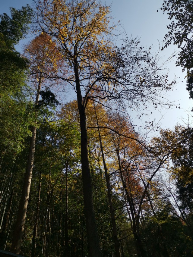 湖北省广水市应山三潭风景区简介,湖北广水三潭风景区免费吗