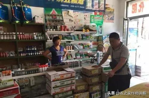 拍脑袋做决定顺口溜,拍脑袋做事啥意思