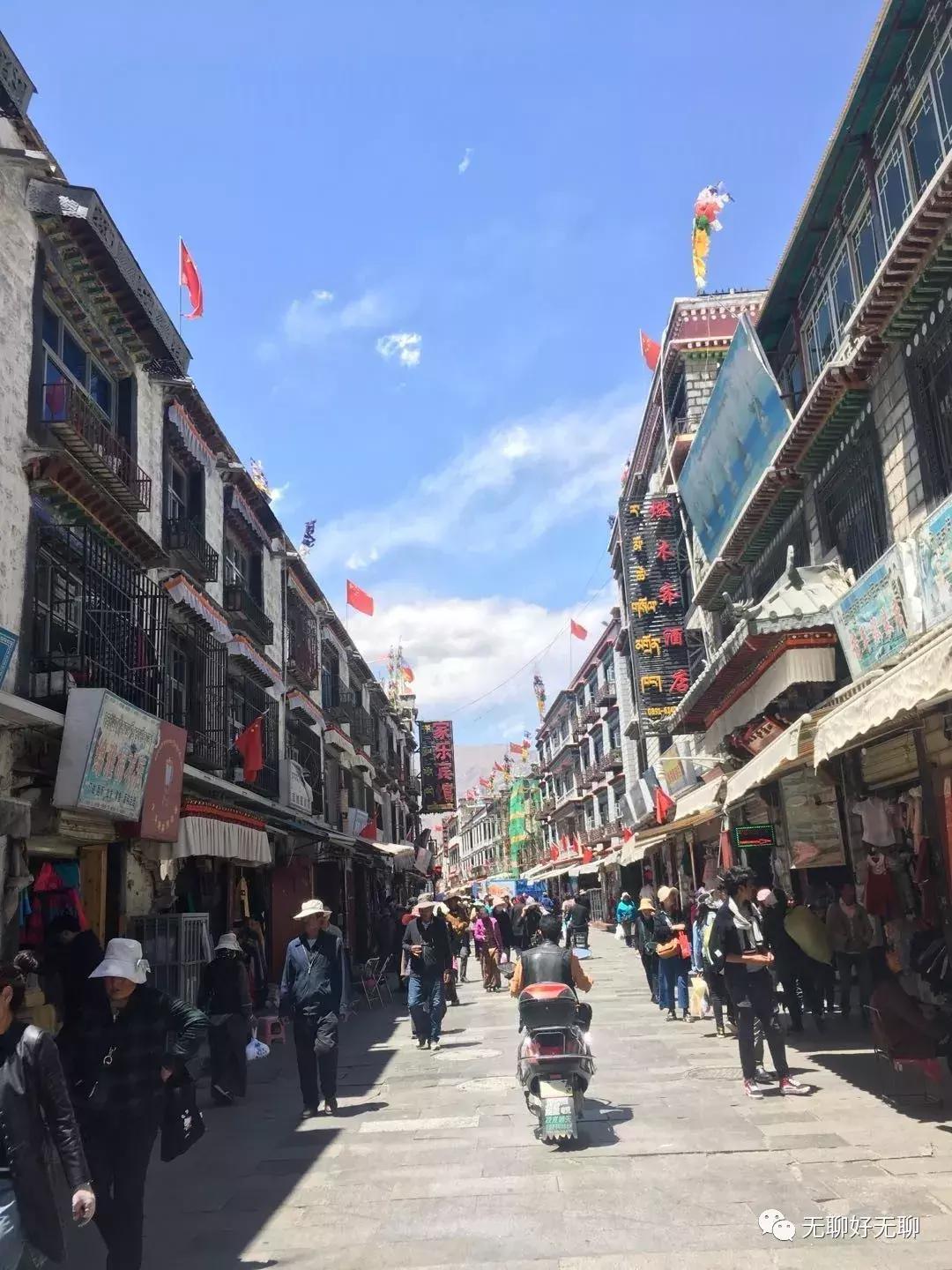 拉萨高原反应红景天,天上拉萨