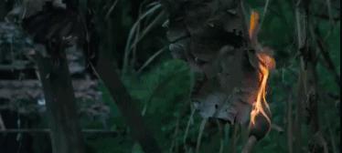 这才是顶级越狱片,12部高版本越狱片合集