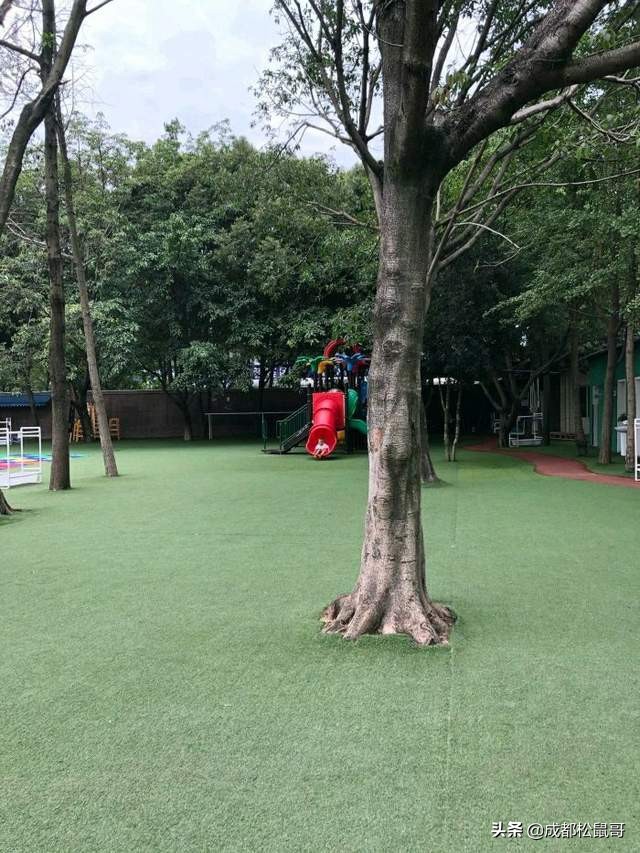 成都民办普惠幼儿园利弊,成都普惠幼儿园排行榜