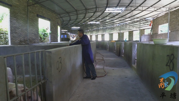 【致富带头人】陆龙江：创业在家乡不用去远方