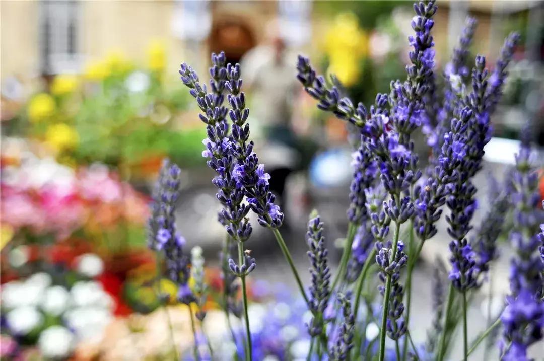 20190608张云雷邮轮专场,张云雷岳云鹏经典相声大实话