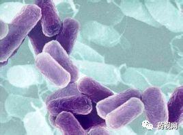 「德斯特GMP」制药用水问答集锦（上）