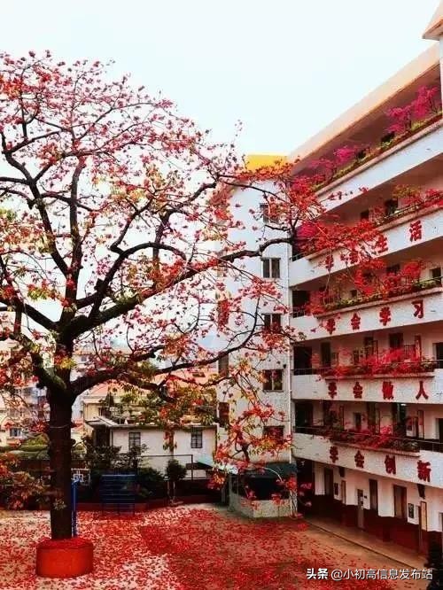 2019广州二中高考成绩,广州二中2022高考平均分